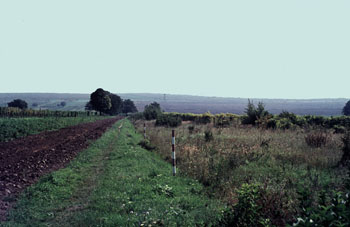 Blick nach Ungarn